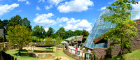 Zoo Atlanta 2012-2016