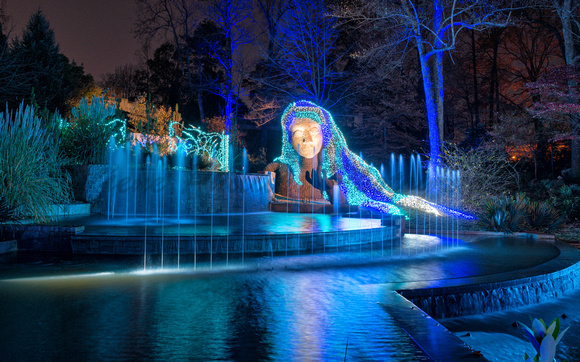 Atlanta Botanical Garden Lights 2015