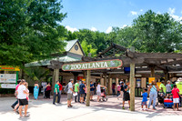 Zoo Atlanta 2012-2016