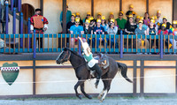 Georgia Renaissance Festival: Maximus Extremus