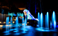 Atlanta Botanical Garden Lights 2014