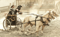 Georgia Renaissance Festival: Equus Maximus